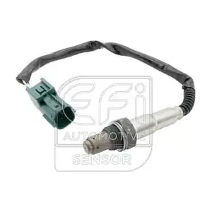 EFI AUTOMOTIVE 301581