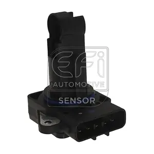 EFI AUTOMOTIVE 305096