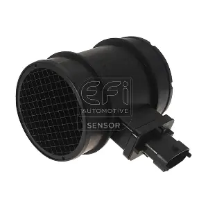 EFI AUTOMOTIVE 305119