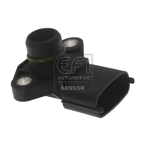 291166 EFI AUTOMOTIVE
