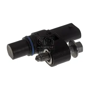 147255 EFI AUTOMOTIVE