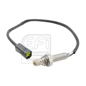 EFI AUTOMOTIVE 301454