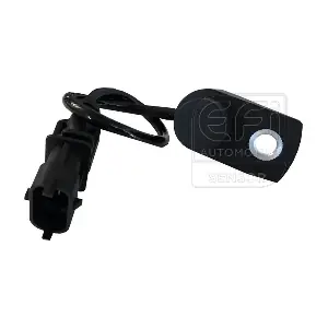 303217 EFI AUTOMOTIVE