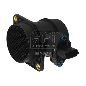 EFI AUTOMOTIVE 305064