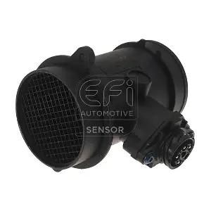 305061 EFI AUTOMOTIVE