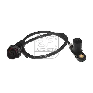 EFI AUTOMOTIVE 302173