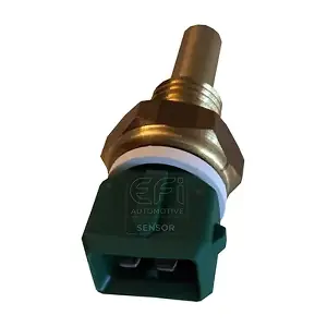 295079 EFI AUTOMOTIVE