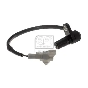 303513 EFI AUTOMOTIVE