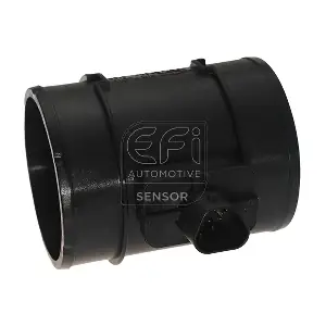 EFI AUTOMOTIVE 305125
