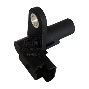 303233 EFI AUTOMOTIVE