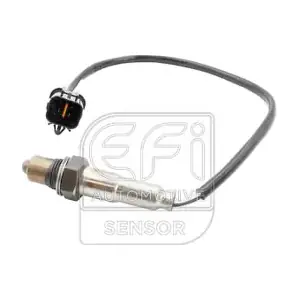 301534 EFI AUTOMOTIVE