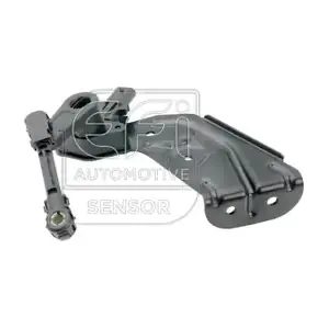 307004 EFI AUTOMOTIVE