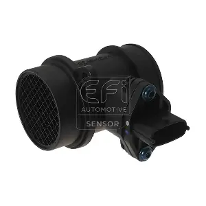305070 EFI AUTOMOTIVE