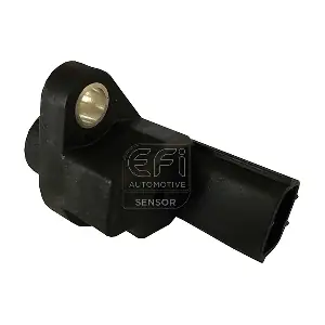 303353 EFI AUTOMOTIVE