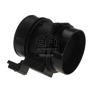305194 EFI AUTOMOTIVE