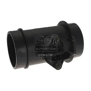 305109 EFI AUTOMOTIVE