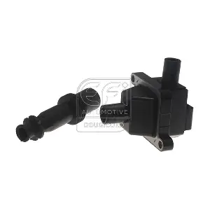 EFI AUTOMOTIVE 155006