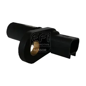EFI AUTOMOTIVE 303224