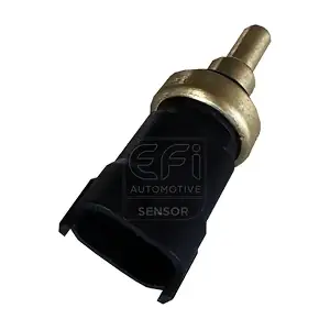 EFI AUTOMOTIVE 295098