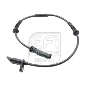 302531 EFI AUTOMOTIVE