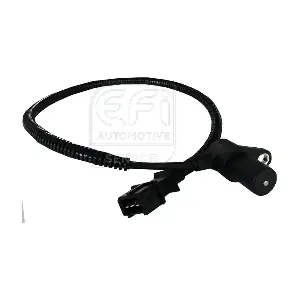 303010 EFI AUTOMOTIVE