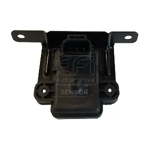 EFI AUTOMOTIVE 291019