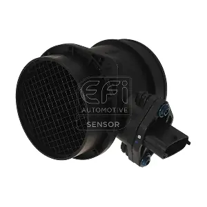 EFI AUTOMOTIVE 305071