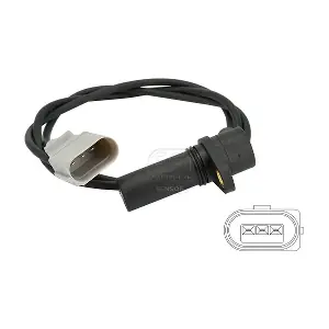 EFI AUTOMOTIVE 303058