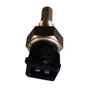 295017 EFI AUTOMOTIVE