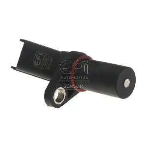 EFI AUTOMOTIVE 303085