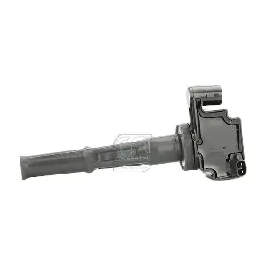 155179 EFI AUTOMOTIVE