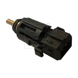 295025 EFI AUTOMOTIVE