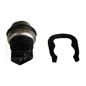 295127 EFI AUTOMOTIVE