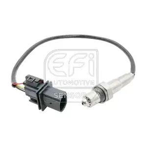 EFI AUTOMOTIVE 301159