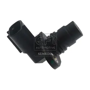 303473 EFI AUTOMOTIVE