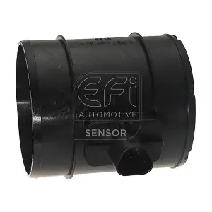 EFI AUTOMOTIVE 305147