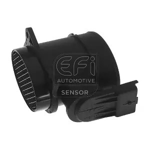 EFI AUTOMOTIVE 305079