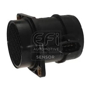 305078 EFI AUTOMOTIVE