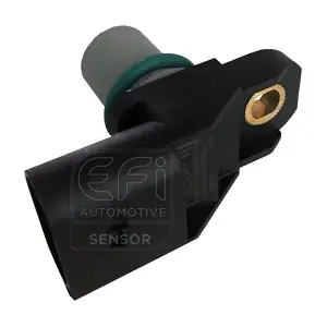EFI AUTOMOTIVE 303323
