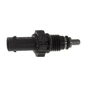 295209 EFI AUTOMOTIVE