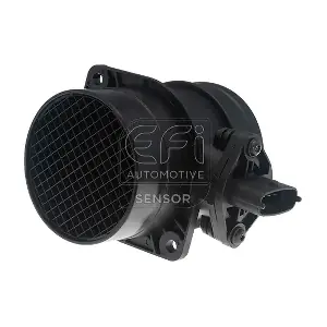 EFI AUTOMOTIVE 305102