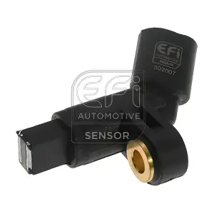 EFI AUTOMOTIVE 302007