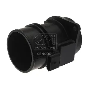 EFI AUTOMOTIVE 305022