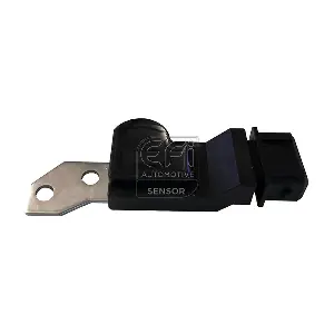 EFI AUTOMOTIVE 303359