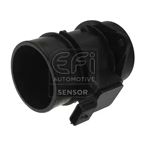 305057 EFI AUTOMOTIVE
