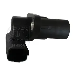 303238 EFI AUTOMOTIVE