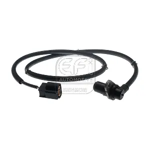 302443 EFI AUTOMOTIVE