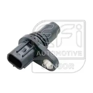 EFI AUTOMOTIVE 303522