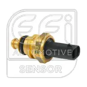 296021 EFI AUTOMOTIVE