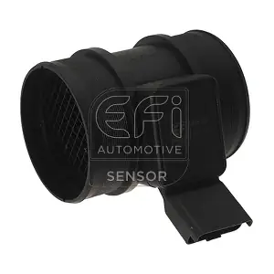 305123 EFI AUTOMOTIVE